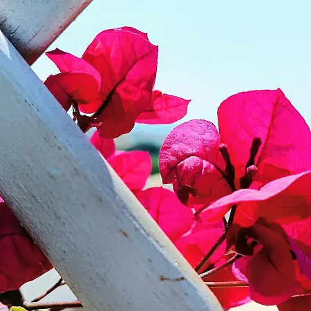 Attico Di Design Vista Mare * Santa Marinella