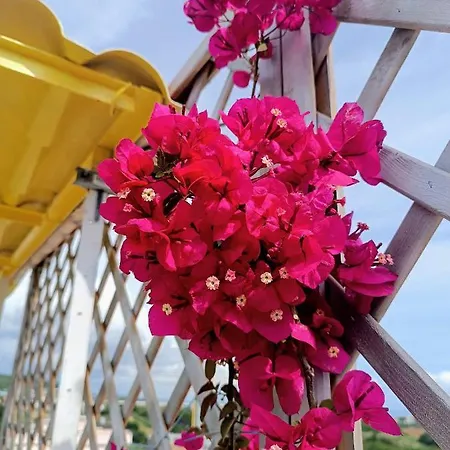 Attico Di Design Vista Mare